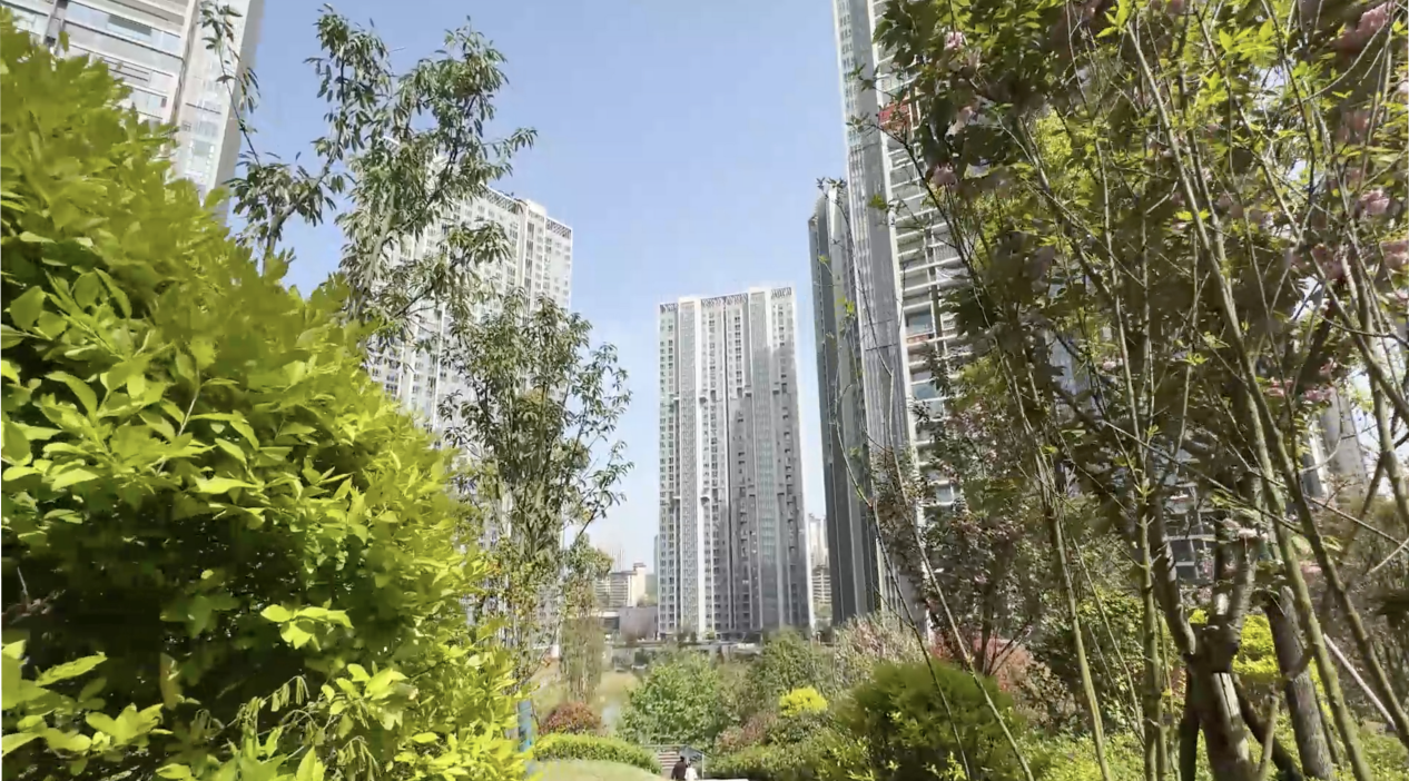 68d6355a82717.png 68d6355a82717.png